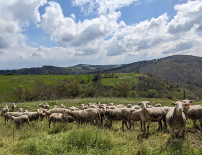 location-vacances-nature-luxe-haute-loire