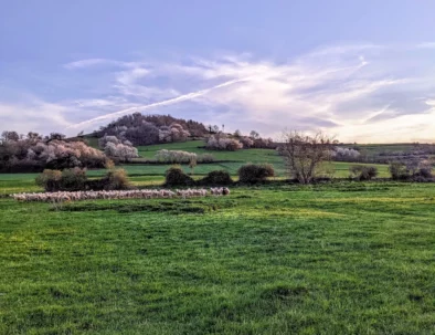 PXL_20230421_181103191~2