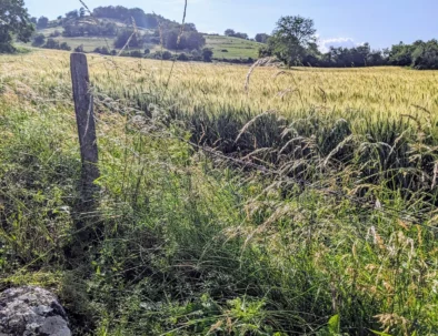 PXL_20230623_164203269~2