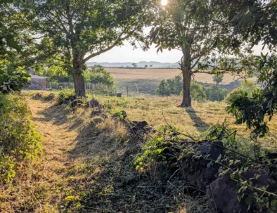 PXL_20230811_055231264.MP~2