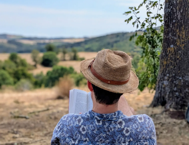 lecture-vacances-auvergne