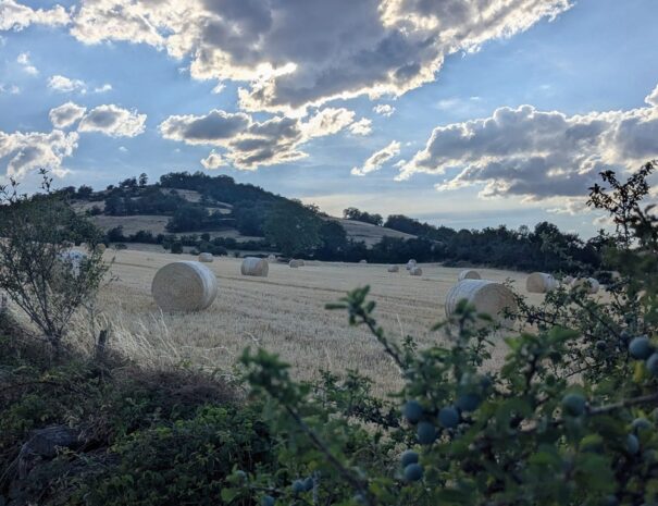Maison d'hôtes en Haute-Loire face au volcan